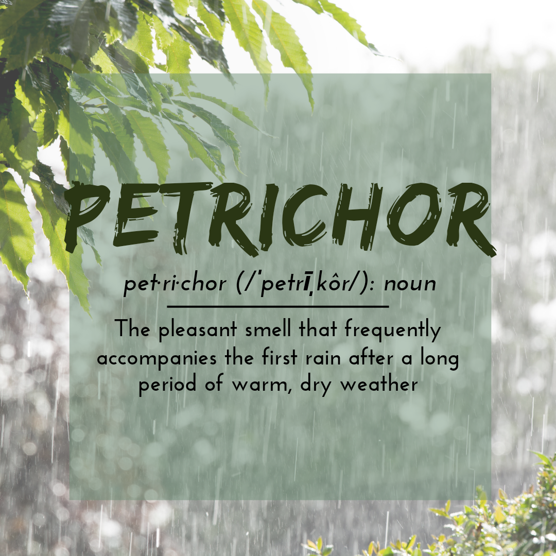 Petrichor Wax Melts