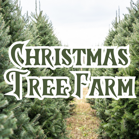 Christmas Tree Farm