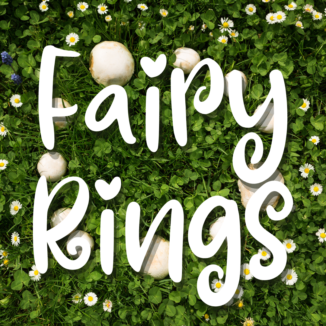 Fairy Rings Wax Melts