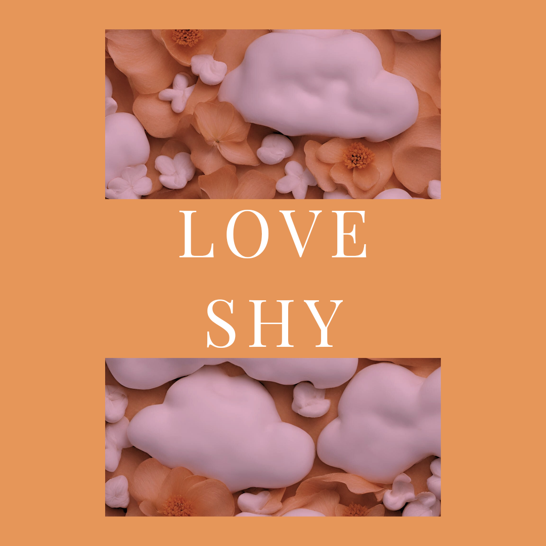 Love Shy Moisturizing Body Mist